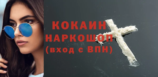 гашик Алексин