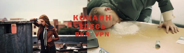 гашик Алексин