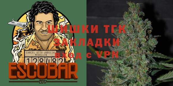 гашик Алексин