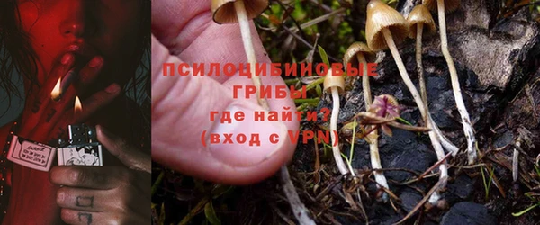 гашик Алексеевка