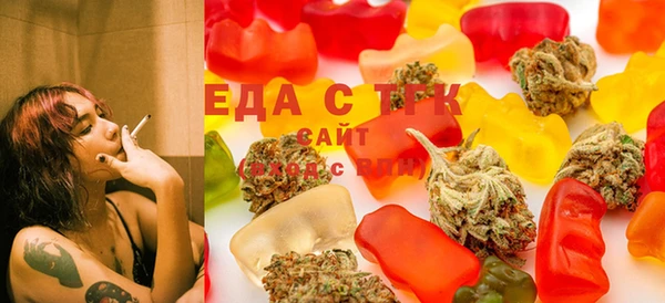 гашик Алексин