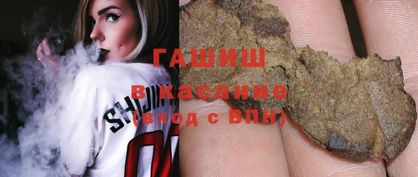 гашик Алексин