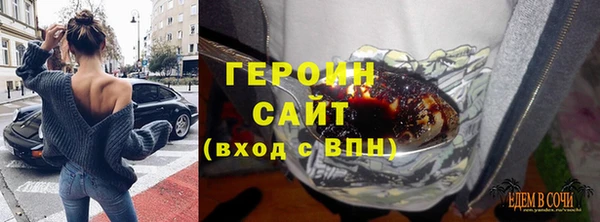 гашик Алексин