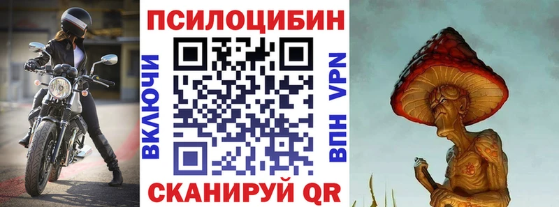 купить  цена  Сенгилей  Галлюциногенные грибы мицелий 